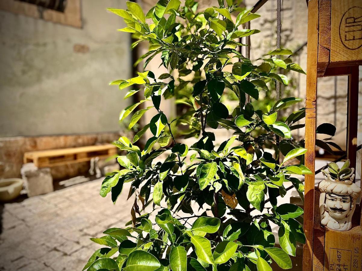 拉古萨Cuturissi Hospitality & Wellnees住宿加早餐旅馆 外观 照片